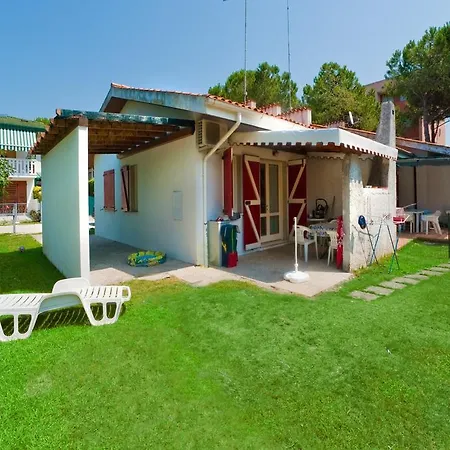 Dina/viel * 比比翁