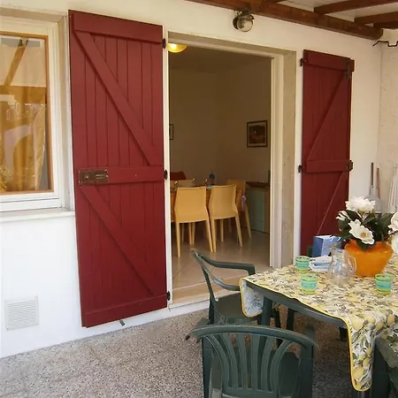 Dina/viel * 比比翁